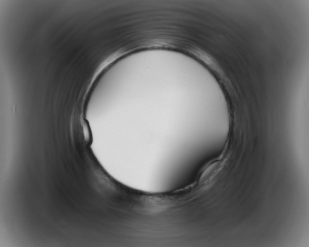 X0000086241234200704261909