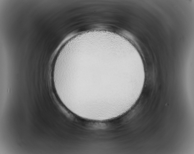 X0000086241235200704261909