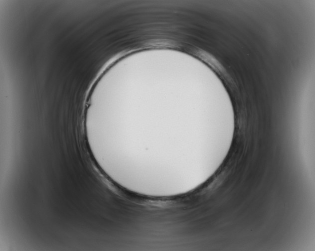X0000086241236200704261909