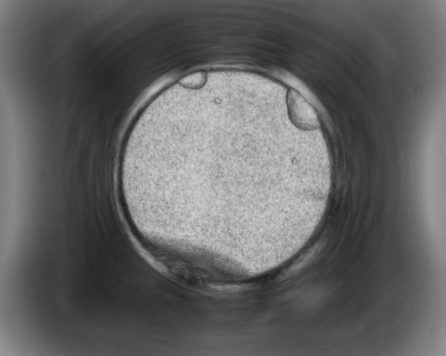 X0000086241237200704261910