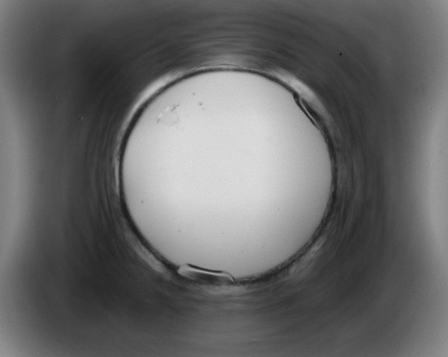 X0000086241238200704261910