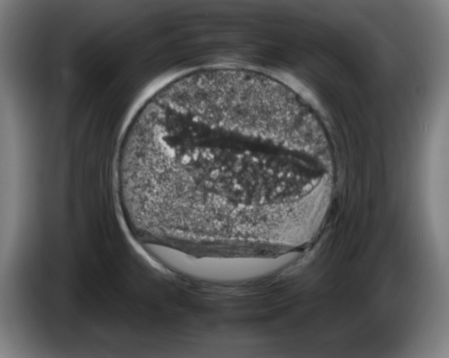 X0000086241239200704261910