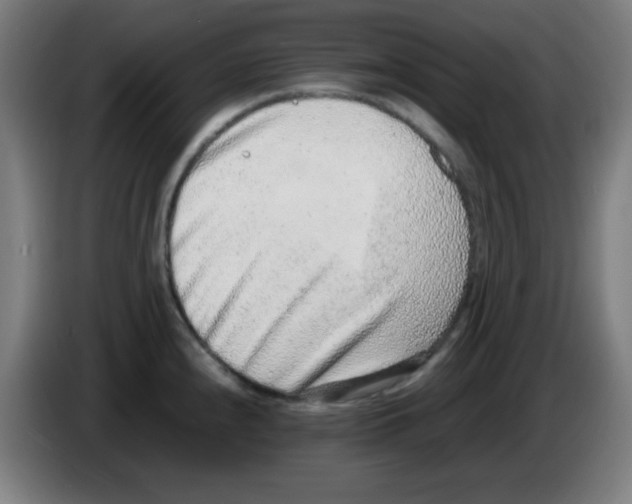 X0000086241240200704261910
