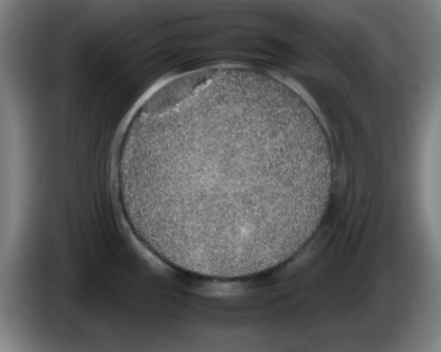 X0000086241243200704261910