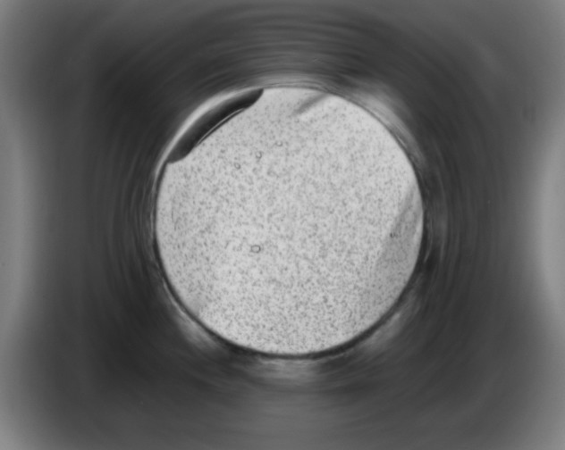 X0000086241244200704261910
