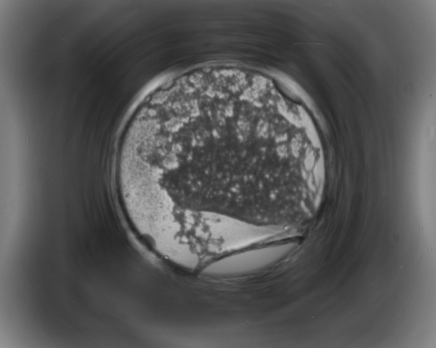 X0000086241245200704261910