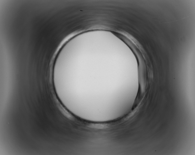 X0000086241246200704261910