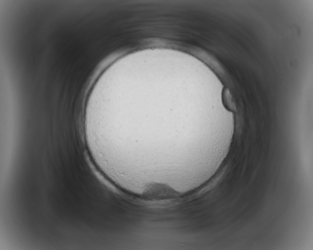 X0000086241247200704261910
