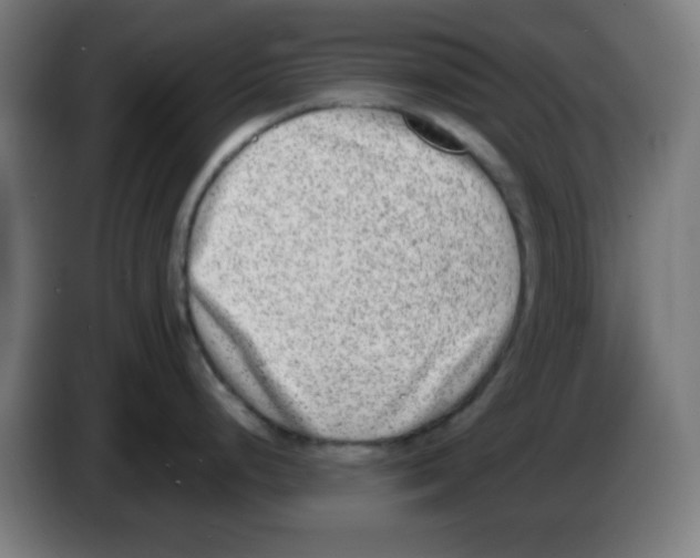 X0000086241248200704261910