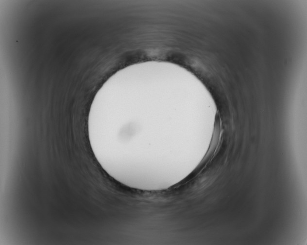 X0000086241249200704261909