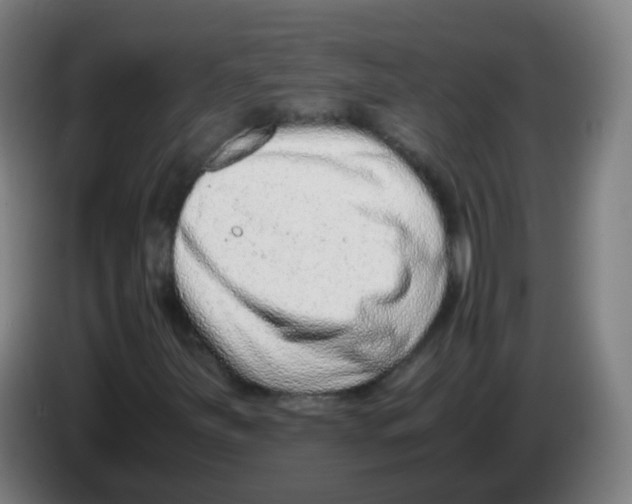 X0000086241251200704261909