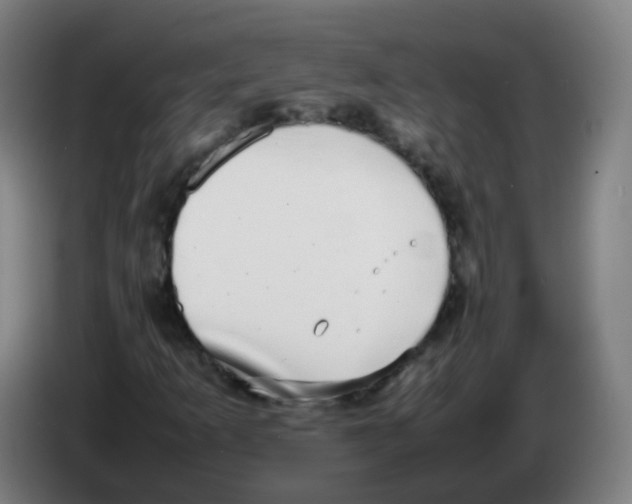 X0000086241253200704261909
