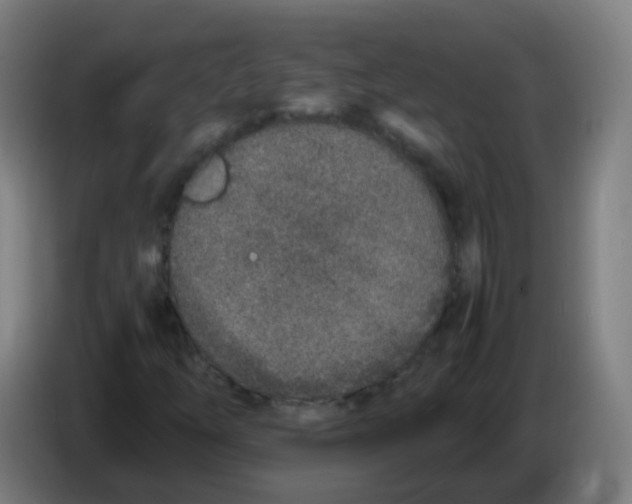 X0000086241254200704261909