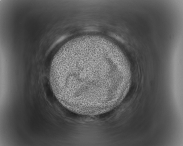 X0000086241255200704261909