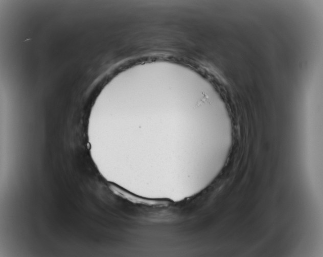 X0000086241256200704261909