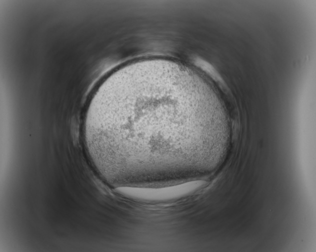 X0000086241260200704261909