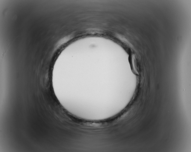 X0000086241261200704261909