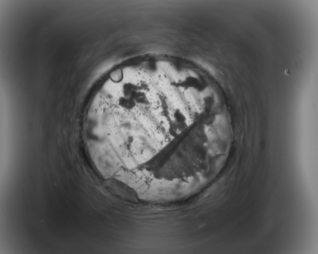 X0000086241263200704261909