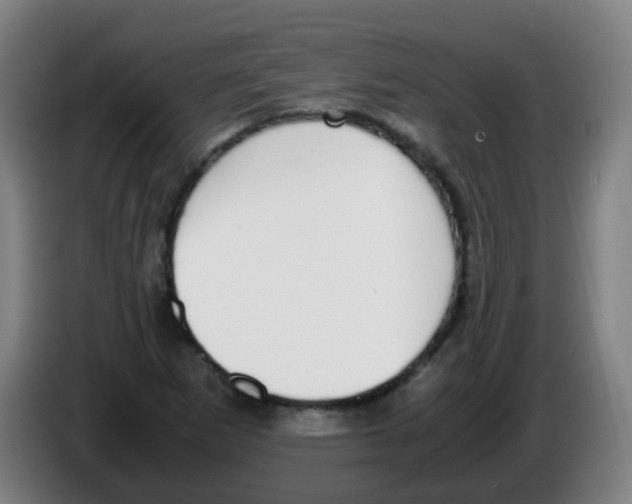 X0000086241265200704261909