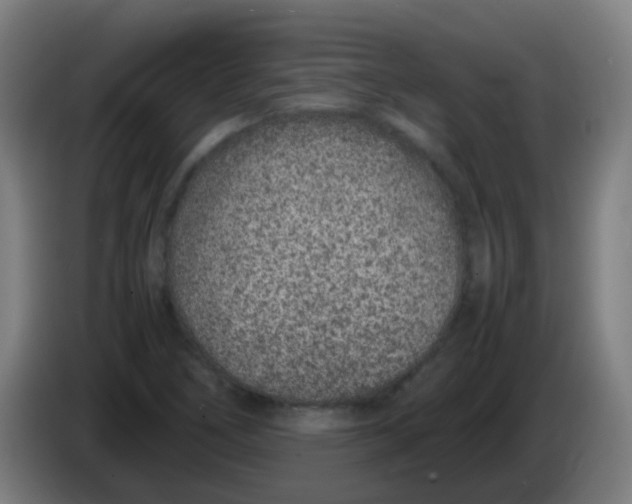X0000086241266200704261909
