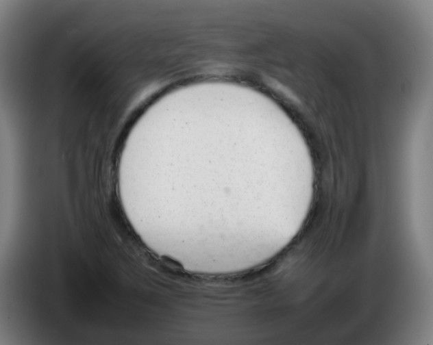 X0000086241267200704261909
