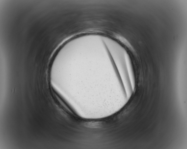 X0000086241268200704261909