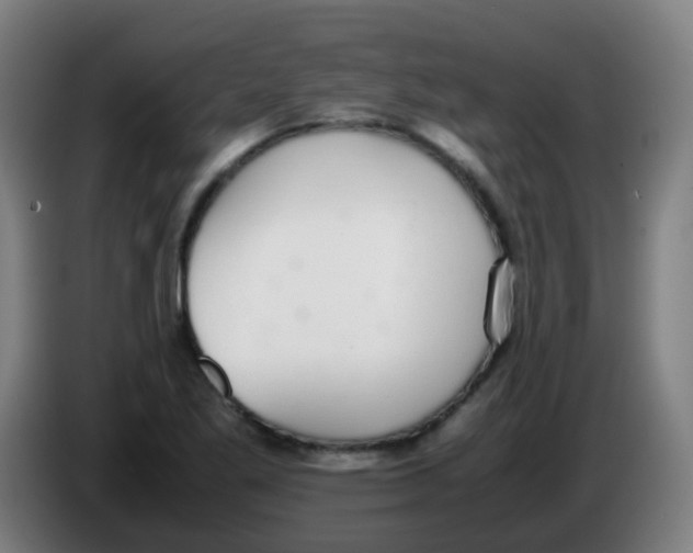 X0000086241269200704261909