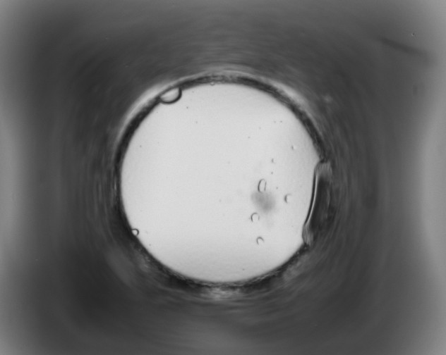 X0000086241271200704261909