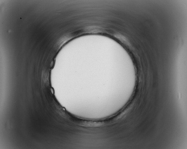 X0000086241273200704261909