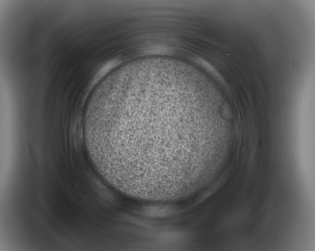 X0000086241274200704261909
