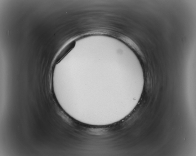 X0000086241276200704261909