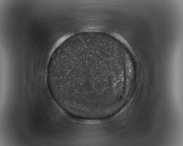 X0000086241277200704261909