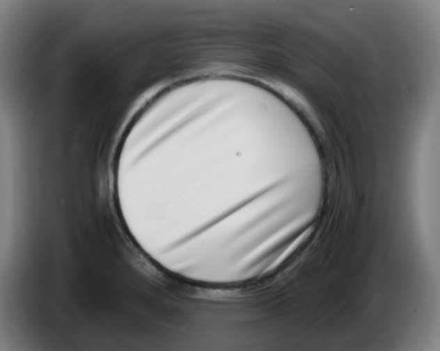 X0000086241280200704261909