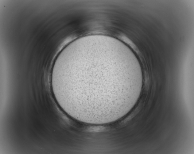 X0000086241282200704261909