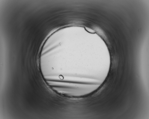 X0000086241284200704261909