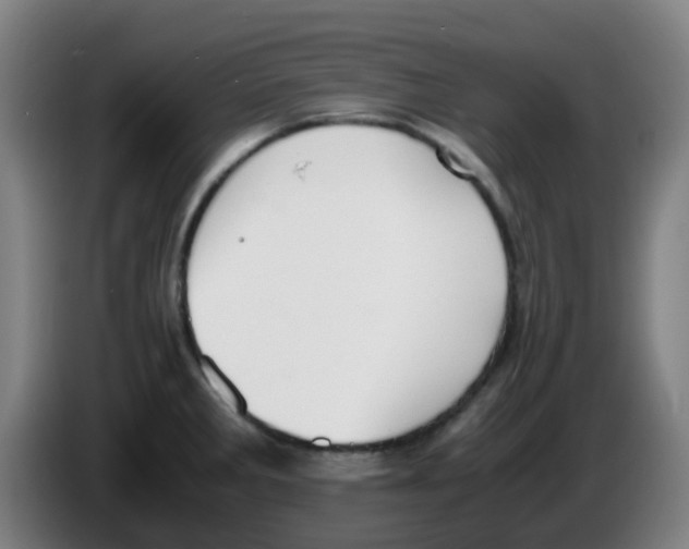 X0000086241285200704261909