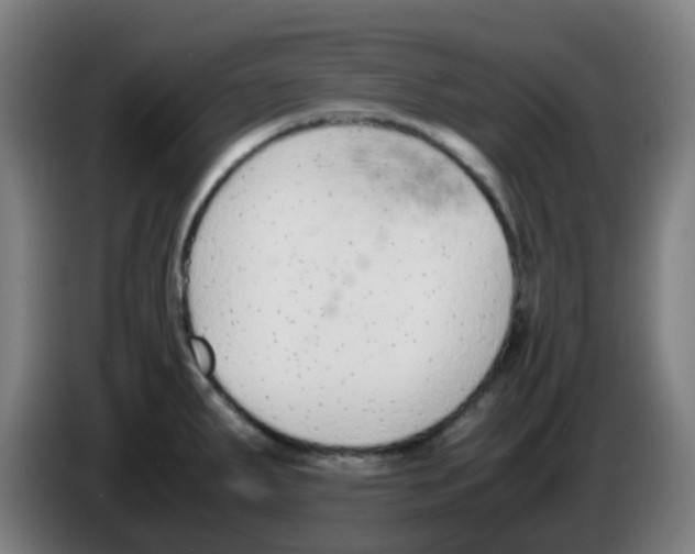 X0000086241287200704261909