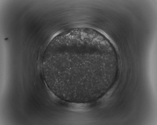 X0000086241289200704261909