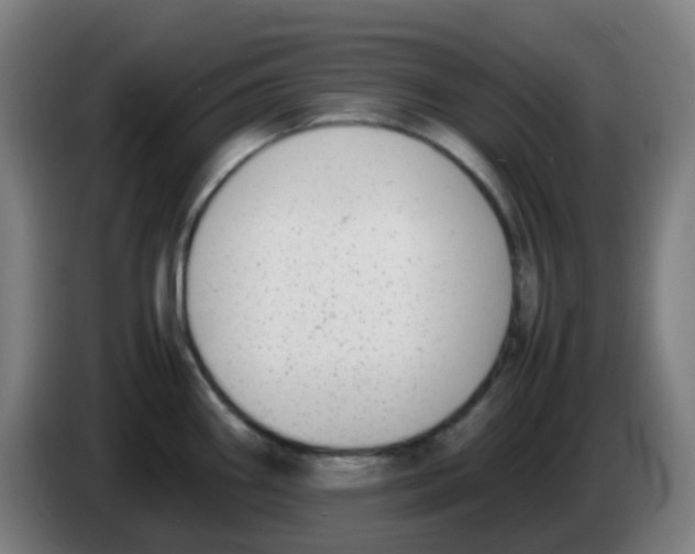 X0000086241290200704261909