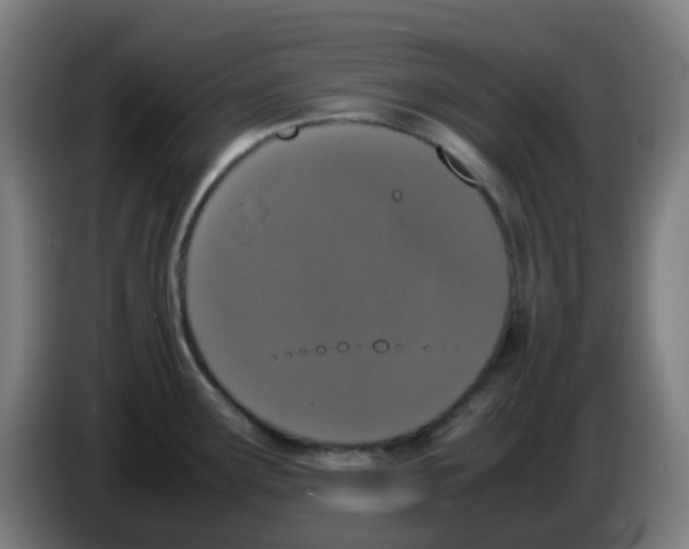 X0000086241291200704261908