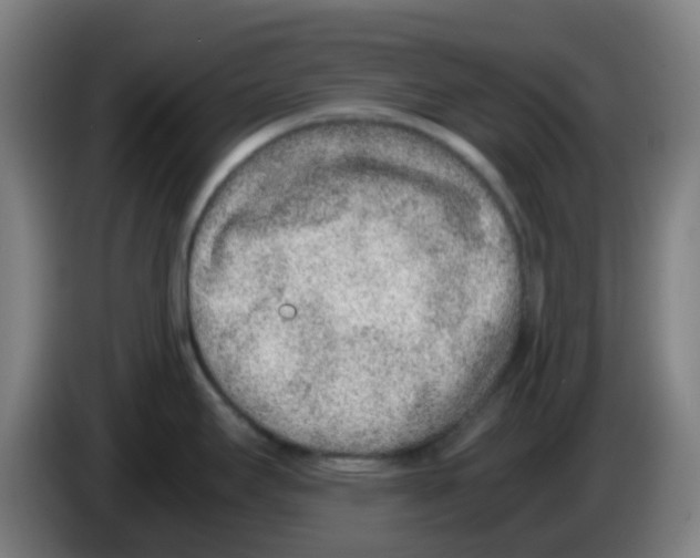 X0000086241295200704261908