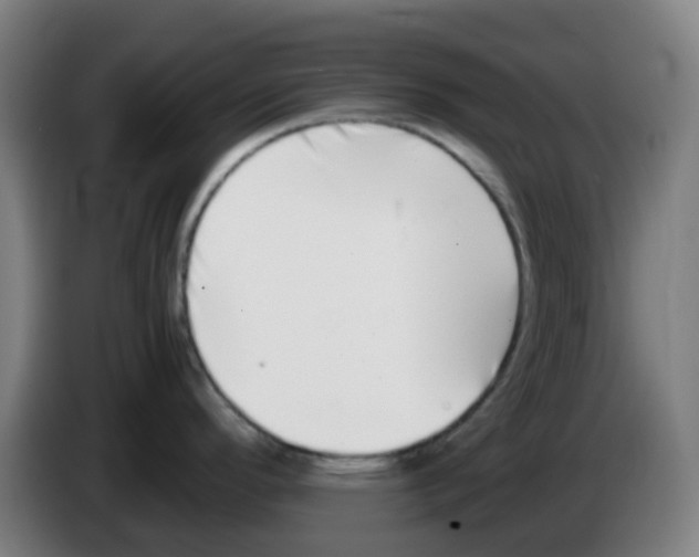 X0000086241296200704261908
