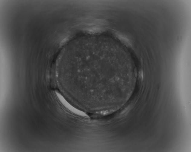 X0000086241300200704261908