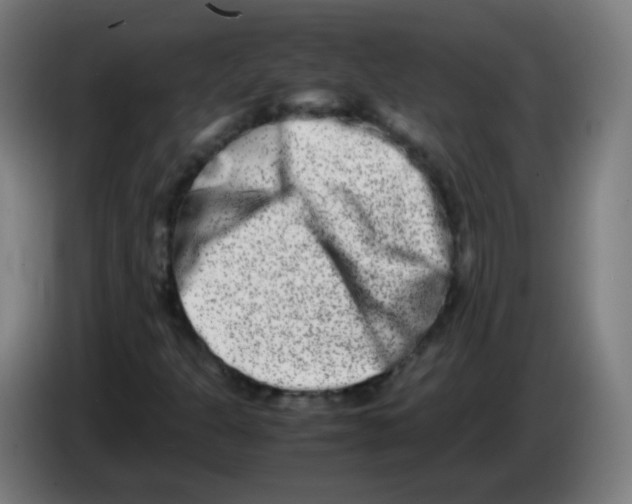 X0000086241301200704261908