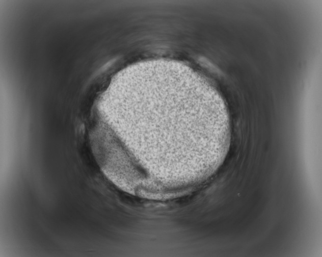 X0000086241302200704261908