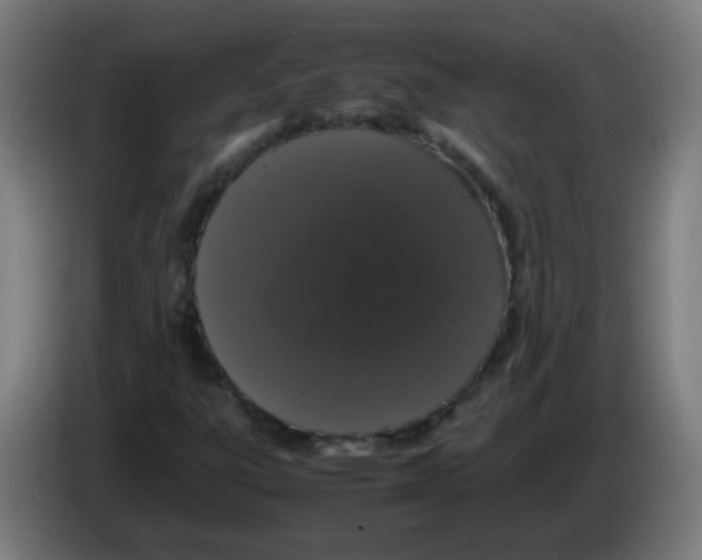 X0000086241303200704261908