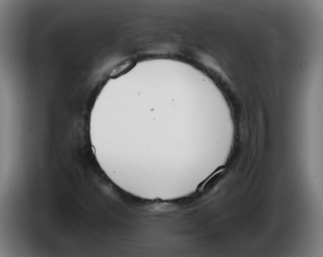 X0000086241304200704261908