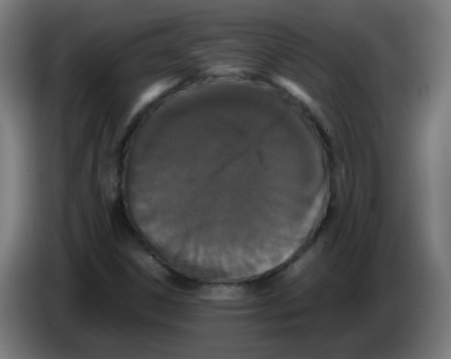 X0000086241306200704261908