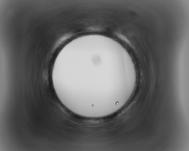 X0000086241307200704261908