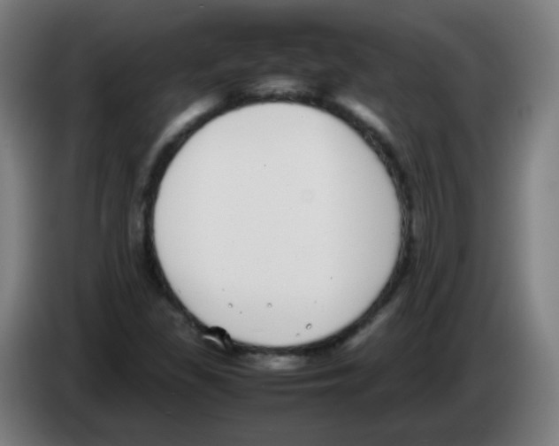 X0000086241309200704261908